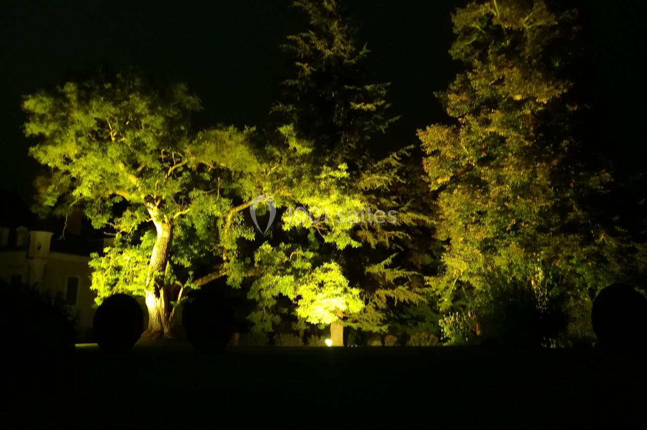 Éclairage nocturne mettant en valeur des arbres et des buissons dans un jardin sombre.