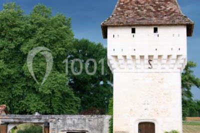 Éclairage nocturne mettant en valeur des arbres et des buissons dans un jardin sombre.