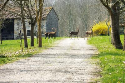 Location salle Saint-Martory (Haute-Garonne) - Chateau de Saint Martory #30