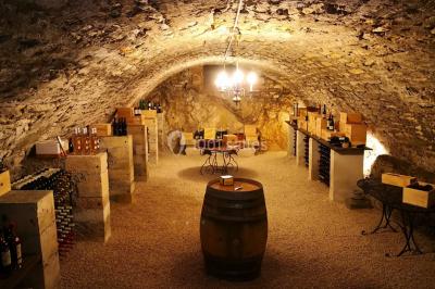 Location salle Saint-Martory (Haute-Garonne) - Chateau de Saint Martory #30