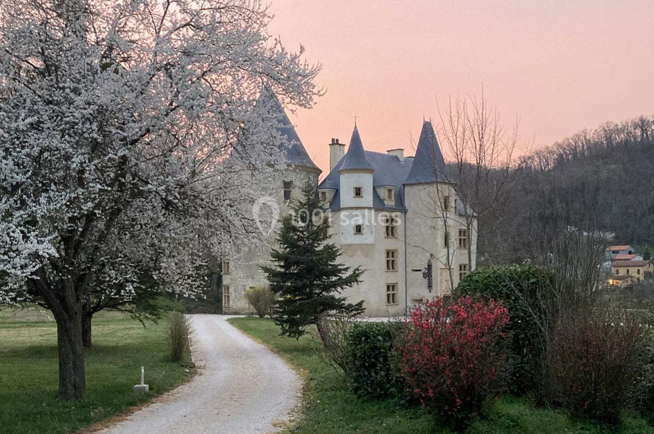 Location salle Saint-Martory (Haute-Garonne) - Chateau de Saint Martory #1