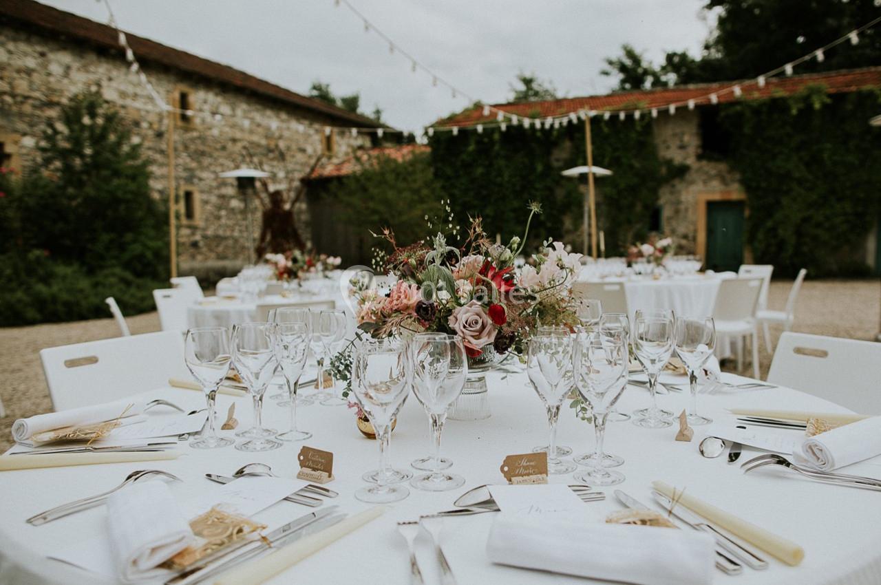 Location salle Saint-Martory (Haute-Garonne) - Chateau de Saint Martory #6