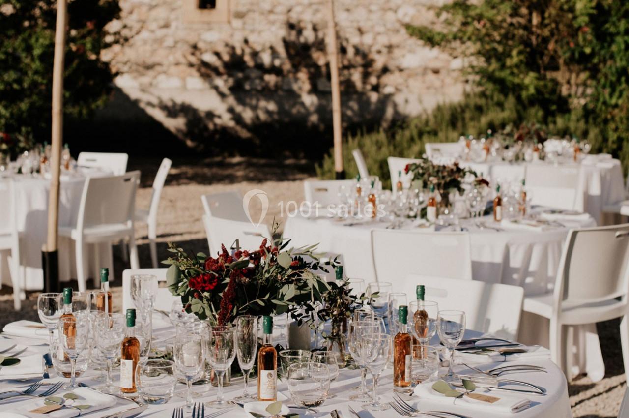 Location salle Saint-Martory (Haute-Garonne) - Chateau de Saint Martory #5