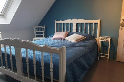 Allée verdoyante ombragée par des arbres, avec une pelouse ensoleillée au centre.