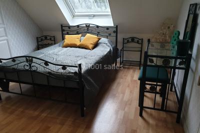 Allée verdoyante ombragée par des arbres, avec une pelouse ensoleillée au centre.