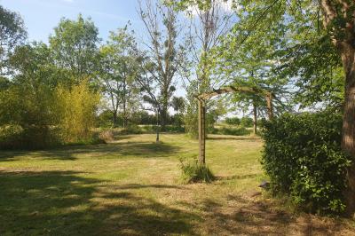 Allée verdoyante ombragée par des arbres, avec une pelouse ensoleillée au centre.