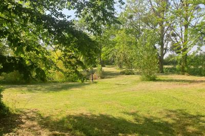 Allée verdoyante ombragée par des arbres, avec une pelouse ensoleillée au centre.