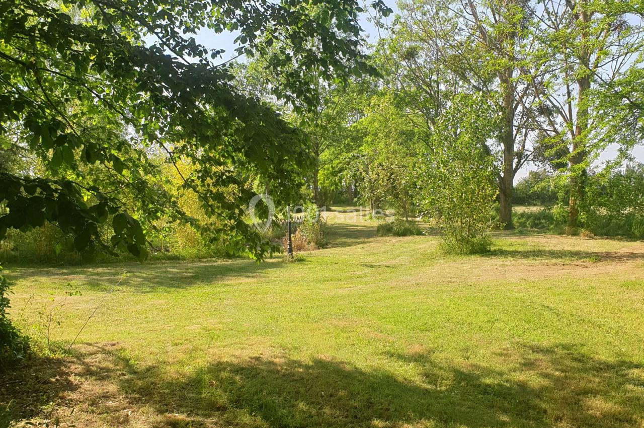 Vue d'un espace vert avec pelouse, arbres feuillus et chemin ombragé sous un ciel dégagé.