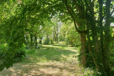 Allée verdoyante ombragée par des arbres, avec une pelouse ensoleillée au centre.