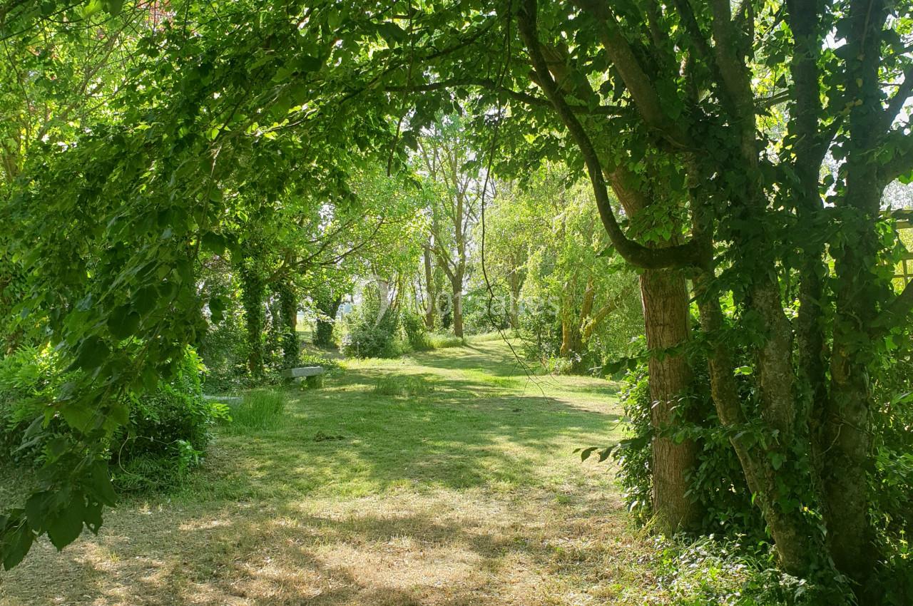 Allée verdoyante ombragée par des arbres, avec une pelouse ensoleillée au centre.