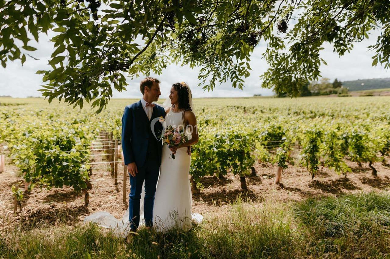 Un couple en tenue de mariage se tient sous un arbre devant un vignoble sous un ciel partiellement nuageux.