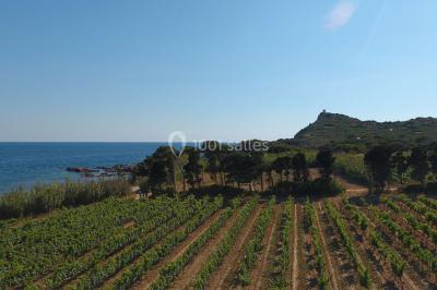 Location salle Six-Fours-les-Plages (Var) - L'Hôtel Helios #9