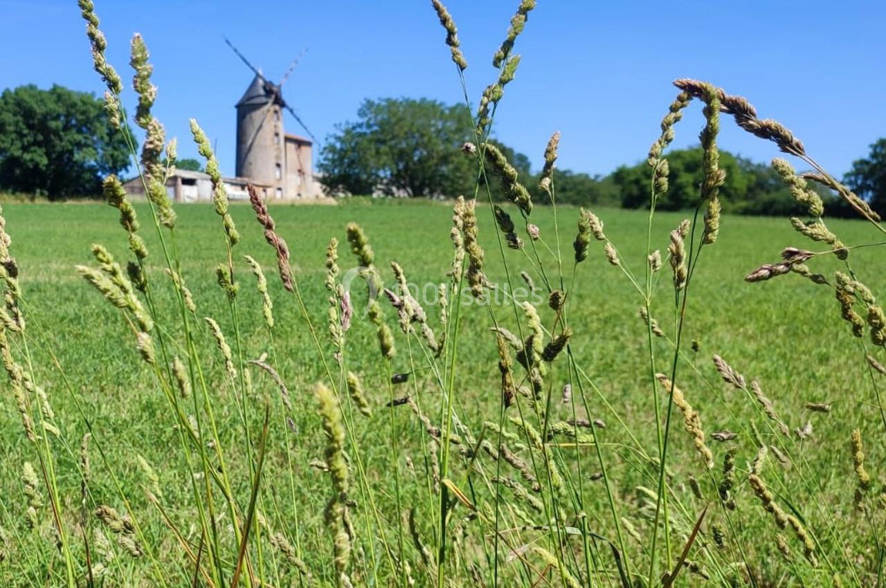 Location salle Coron (Maine-et-Loire) - Moulin de la Noue Ronde #2