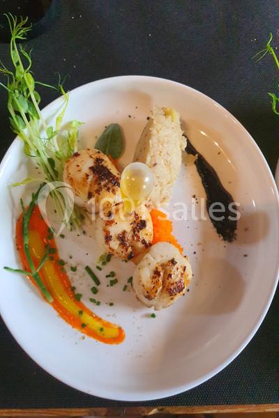 Assiette de noix de Saint-Jacques grillées avec purée, riz, purée noire, légumes et décoration herbacée.