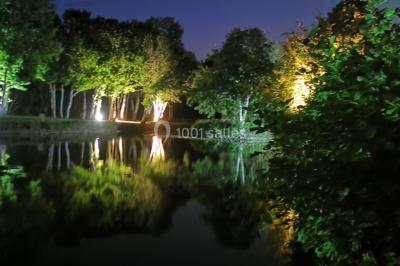 Étang entouré d'arbres illuminés la nuit, avec leurs reflets visibles sur l'eau calme.