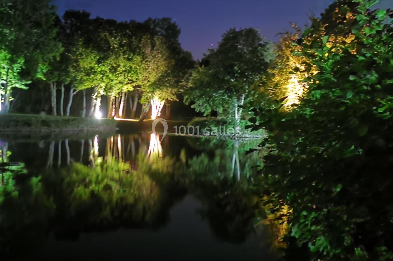 Étang entouré d'arbres illuminés la nuit, avec leurs reflets visibles sur l'eau calme.