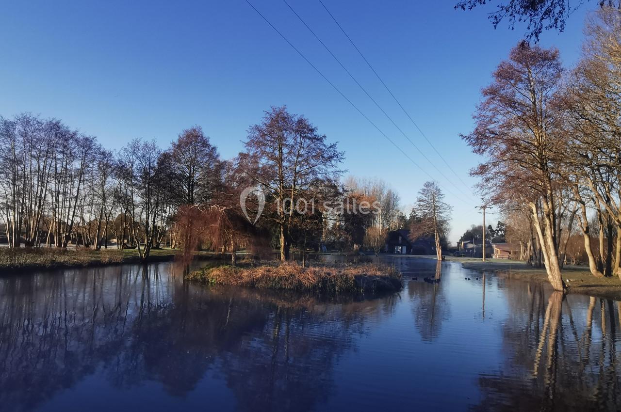 Étang calme entouré d'arbres en hiver, avec un ciel bleu dégagé et des reflets sur l'eau.