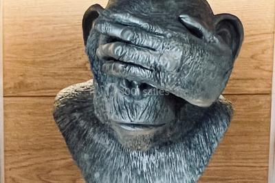 Location salle Lille (Nord) - Les Trois Singes #15