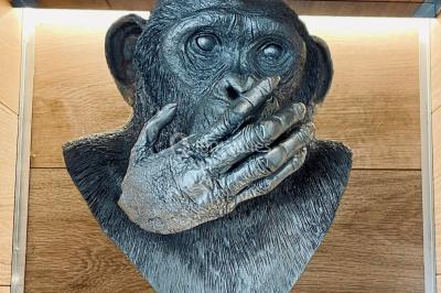 Location salle Lille (Nord) - Les Trois Singes #15