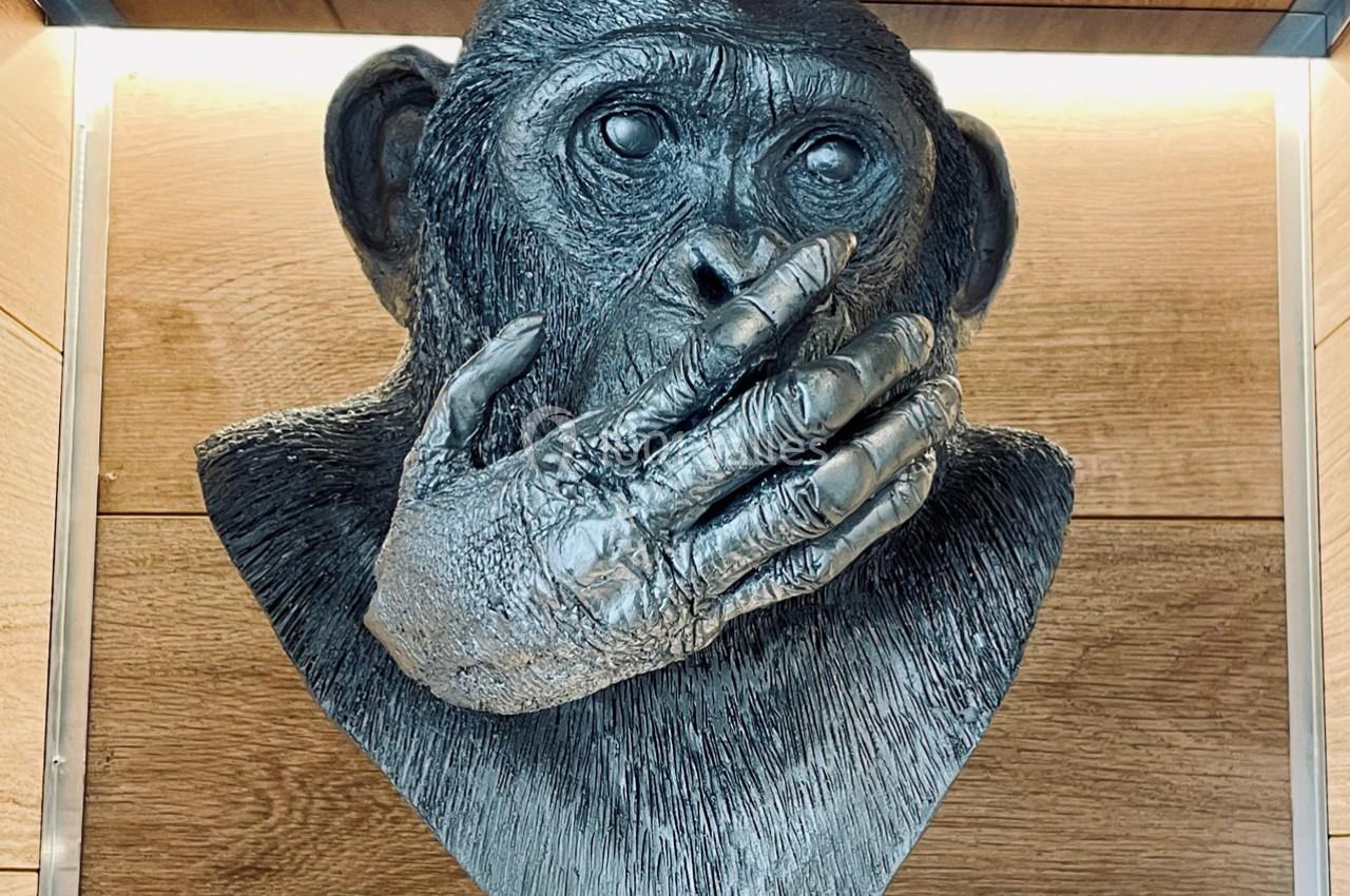 Location salle Lille (Nord) - Les Trois Singes #10