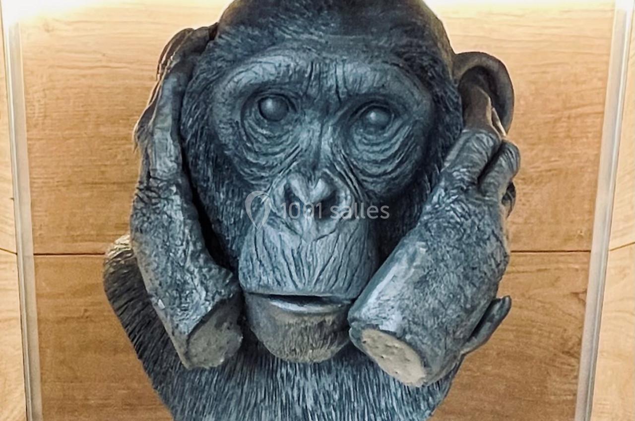 Location salle Lille (Nord) - Les Trois Singes #11