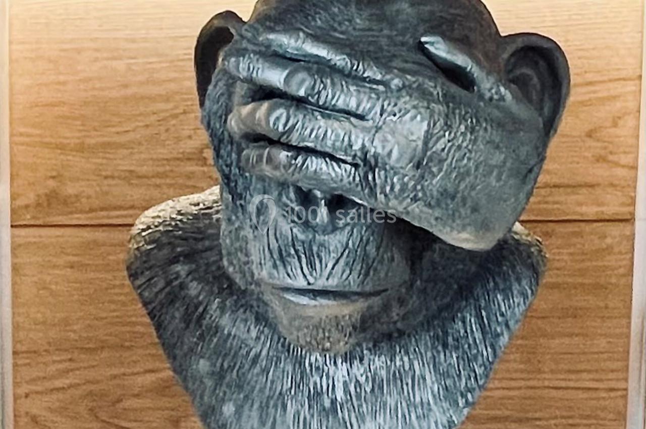 Location salle Lille (Nord) - Les Trois Singes #9