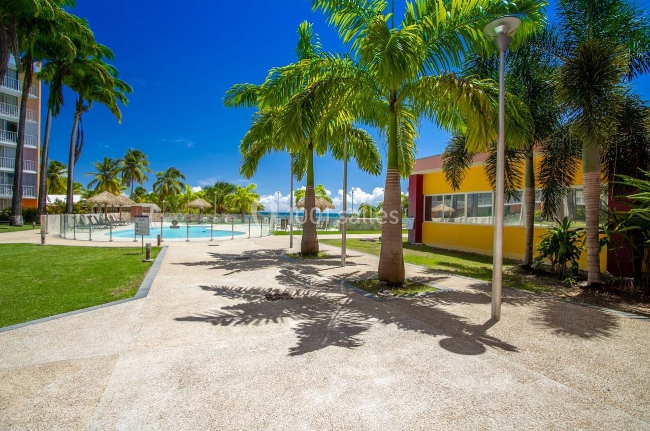 Allée bordée de palmiers menant à une piscine extérieure, avec un bâtiment coloré et un ciel bleu en arrière-plan.