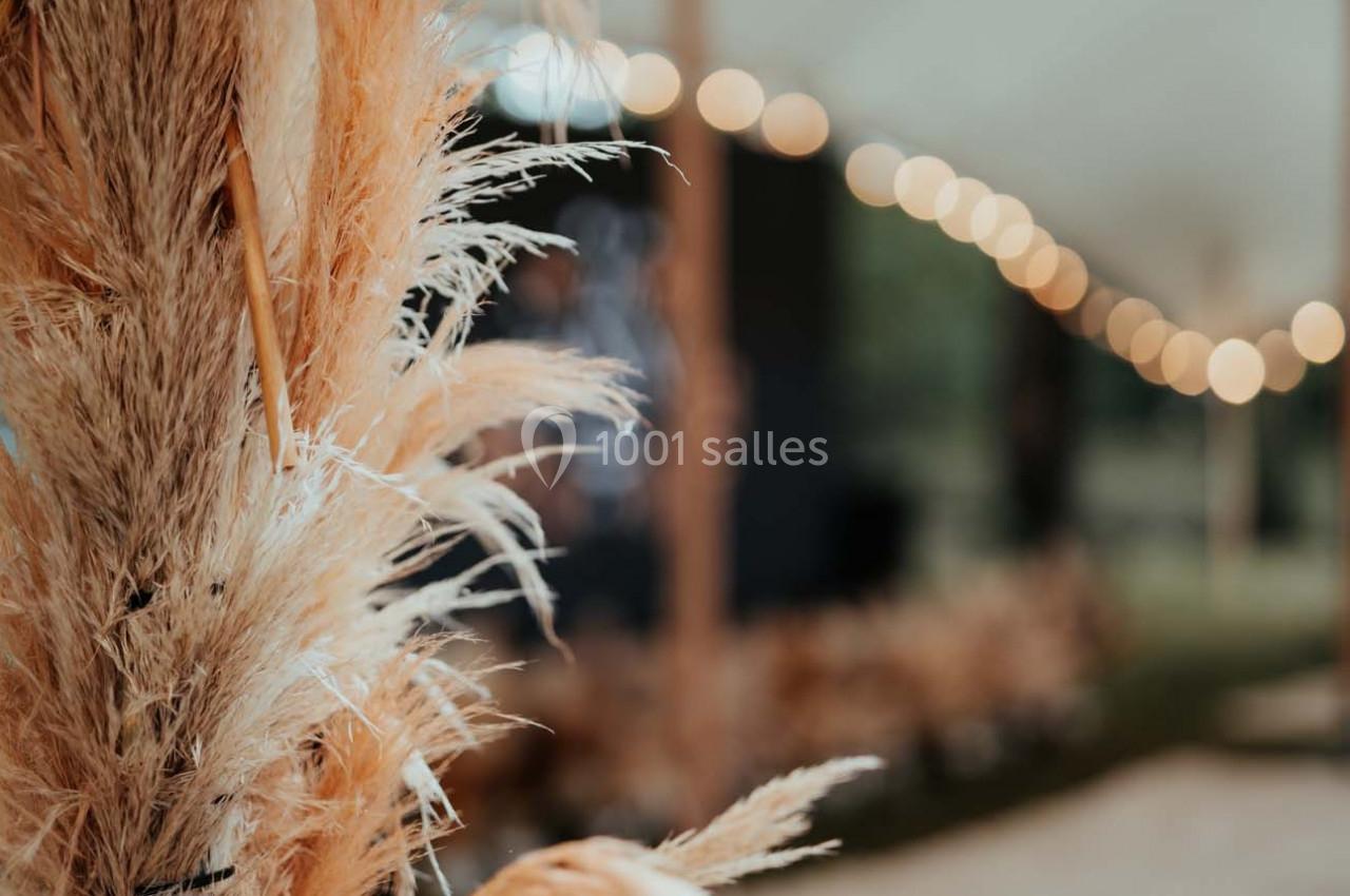 Plumes de pampa floues au premier plan avec des guirlandes lumineuses et un espace extérieur en arrière-plan.