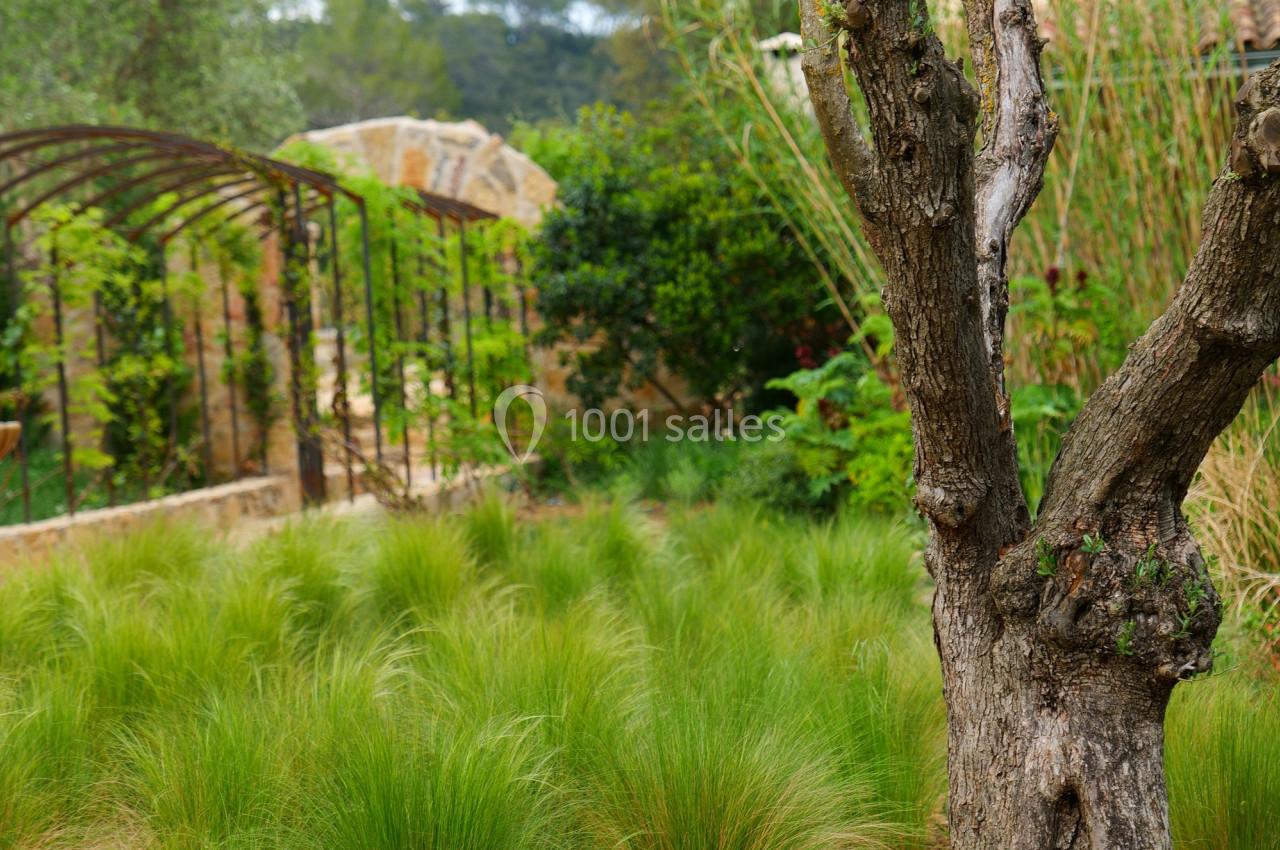 Location salle Le Thoronet (Var) - Domaine La Cascade d'Argens #5