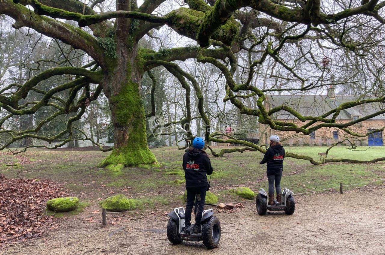 Deux personnes en segway explorent un parc avec un grand arbre aux branches couvertes de mousse.