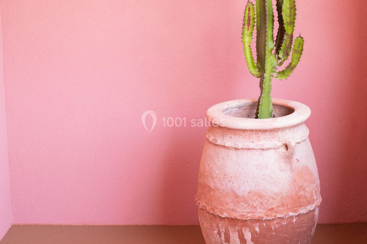 Location salle Mandelieu-la-Napoule (Alpes-Maritimes) - Hotel Casarose #33