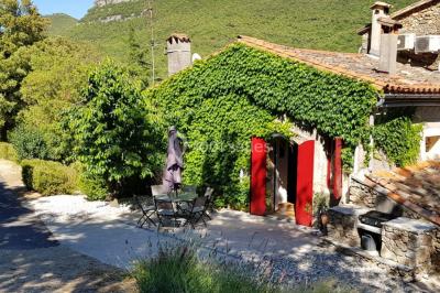 Allée en béton fraîchement coulée, éclairée par des lampadaires, entourée d'arbres et de végétation la nuit.