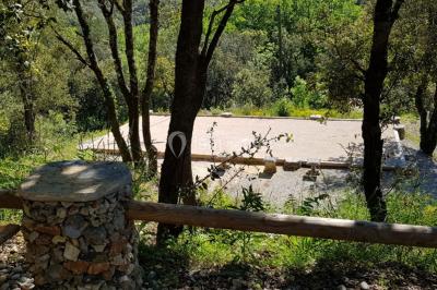 Allée en béton fraîchement coulée, éclairée par des lampadaires, entourée d'arbres et de végétation la nuit.