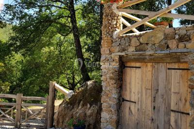 Allée en béton fraîchement coulée, éclairée par des lampadaires, entourée d'arbres et de végétation la nuit.