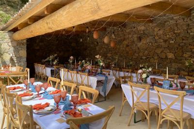Allée en béton fraîchement coulée, éclairée par des lampadaires, entourée d'arbres et de végétation la nuit.
