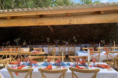 Allée en béton fraîchement coulée, éclairée par des lampadaires, entourée d'arbres et de végétation la nuit.