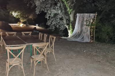 Allée en béton fraîchement coulée, éclairée par des lampadaires, entourée d'arbres et de végétation la nuit.