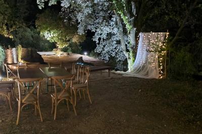 Allée en béton fraîchement coulée, éclairée par des lampadaires, entourée d'arbres et de végétation la nuit.