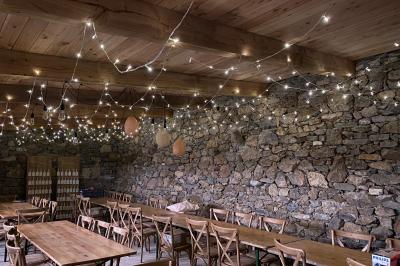 Allée en béton fraîchement coulée, éclairée par des lampadaires, entourée d'arbres et de végétation la nuit.