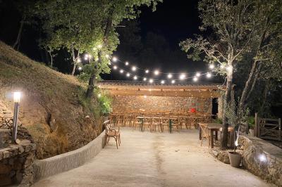Allée en béton fraîchement coulée, éclairée par des lampadaires, entourée d'arbres et de végétation la nuit.