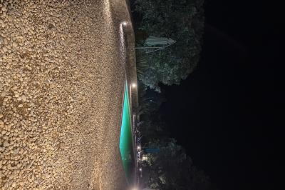 Allée en béton fraîchement coulée, éclairée par des lampadaires, entourée d'arbres et de végétation la nuit.