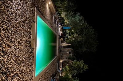 Allée en béton fraîchement coulée, éclairée par des lampadaires, entourée d'arbres et de végétation la nuit.