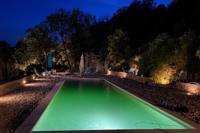 Allée en béton fraîchement coulée, éclairée par des lampadaires, entourée d'arbres et de végétation la nuit.