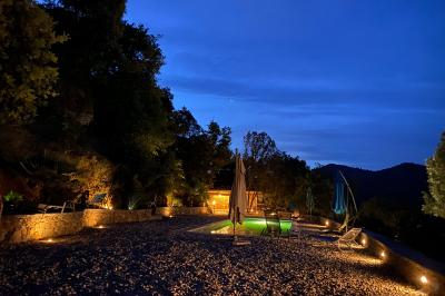 Allée en béton fraîchement coulée, éclairée par des lampadaires, entourée d'arbres et de végétation la nuit.