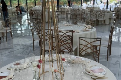 Montage de photos d'un mariage avec des invités, décorations, voitures, buffet et espaces extérieurs verdoyants.