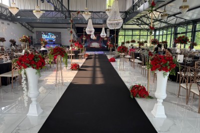 Montage de photos d'un mariage avec des invités, décorations, voitures, buffet et espaces extérieurs verdoyants.