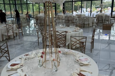 Montage de photos d'un mariage avec des invités, décorations, voitures, buffet et espaces extérieurs verdoyants.