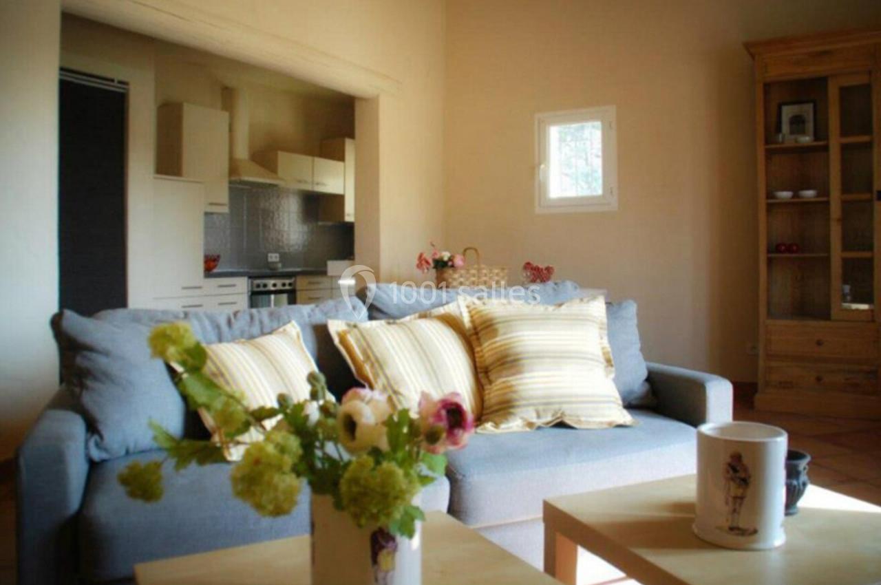 Salon lumineux avec canapé gris, coussins rayés, table basse avec fleurs, et cuisine ouverte en arrière-plan.