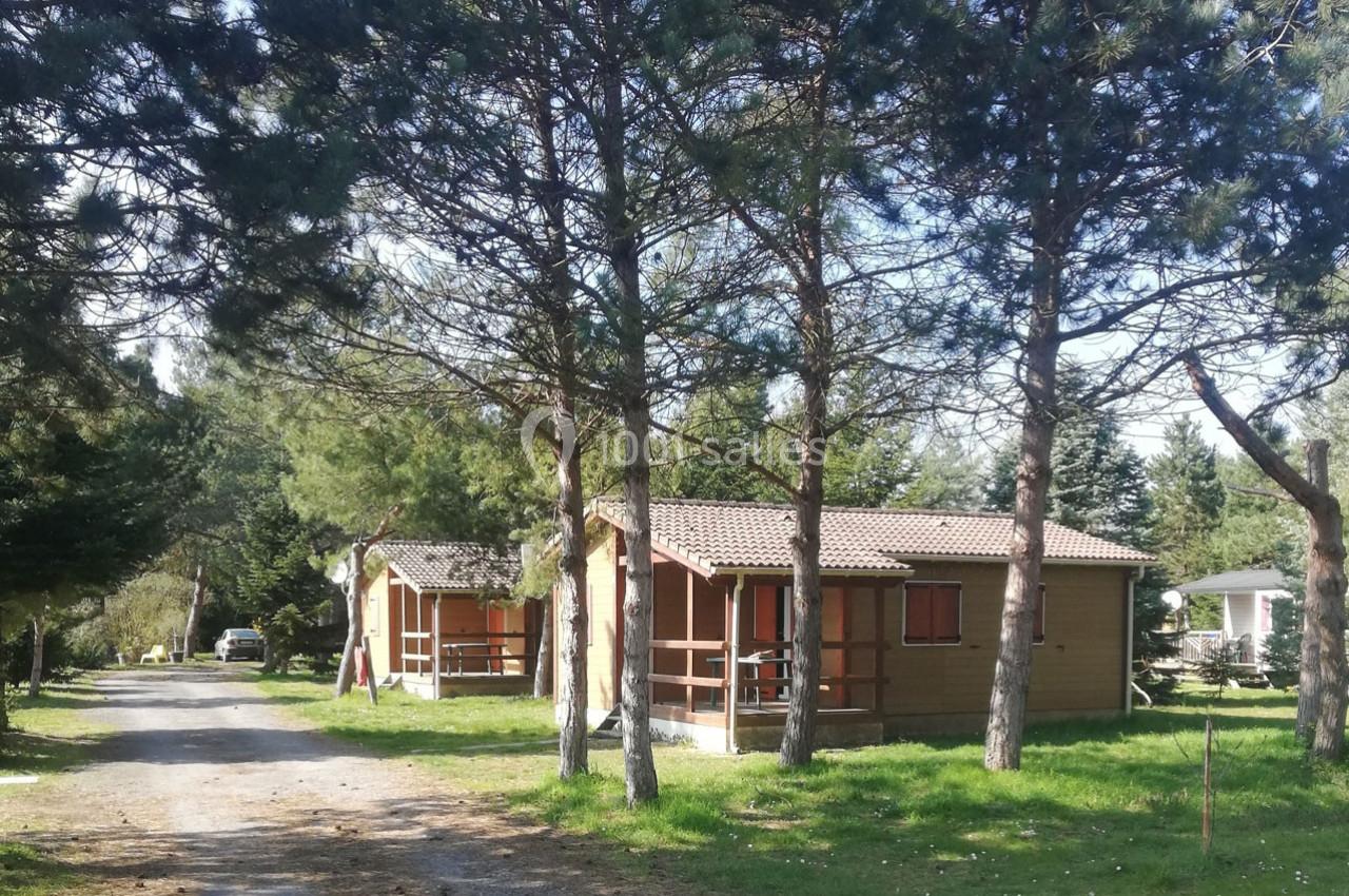 Deux chalets en bois entourés d'arbres, situés dans un espace verdoyant avec un chemin en gravier à gauche.