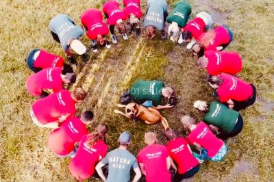Dépliant sur des trottinettes électriques tout terrain posé sur une table avec viennoiseries et jus d'orange en arrière-plan.